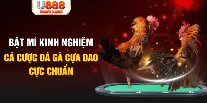 88 cl trong baccarat, ai là người chia bài chính？