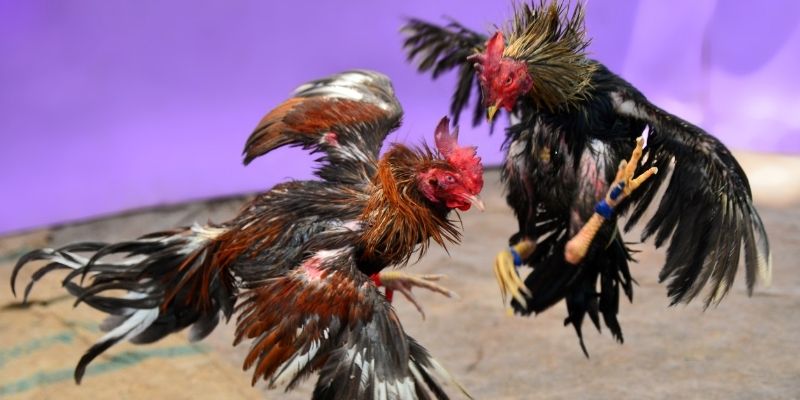 88 cl nổ hũ tiếng anh là gì