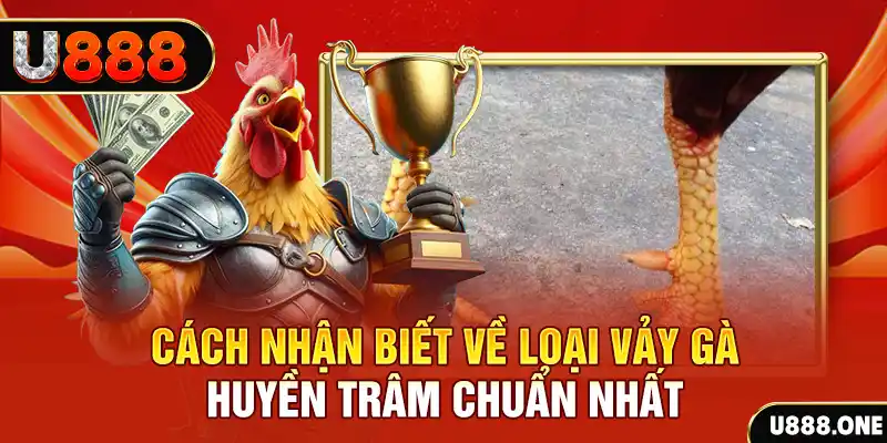 88 cl Chú hề Patty tuổi teen