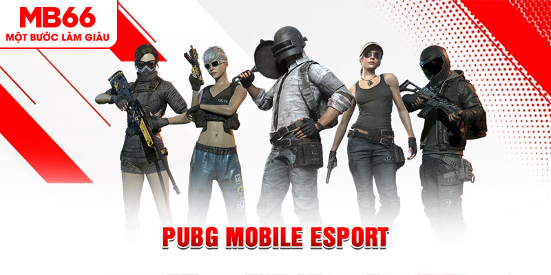 88 cl gà chọi c1 mới nhất