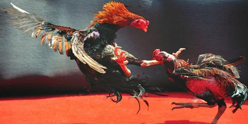 88 cl đăng nhập nổ hũ số 1