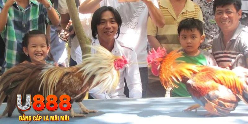 88 cl mơ thấy nổ hũ đánh con gì