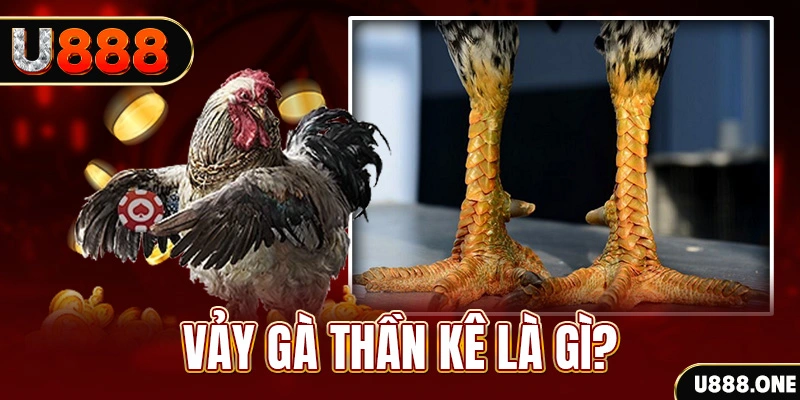 88 cl xổ số miền bắc thứ tư hàng tuần