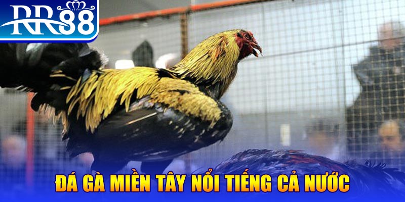88 cl đăng nhập liêng miễn phí