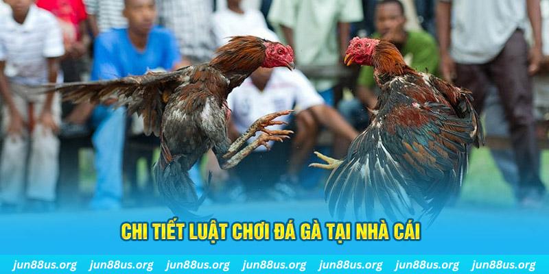 88 cl đá gà campuchia