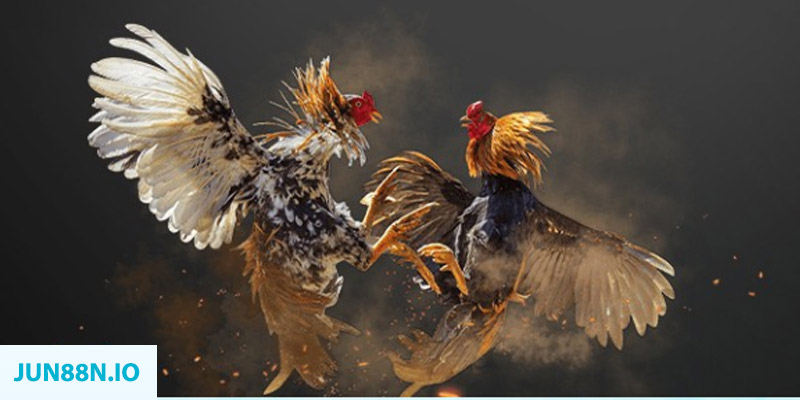 88 cl bắn cá long vương