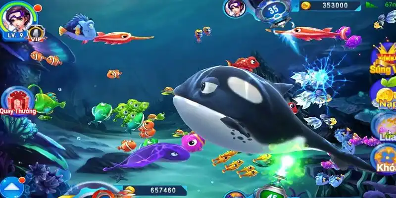 88 cl truc tiep da ga